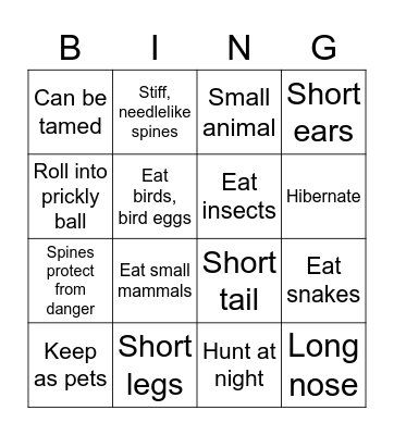 Hedgehog Fact BINGO! Bingo Card