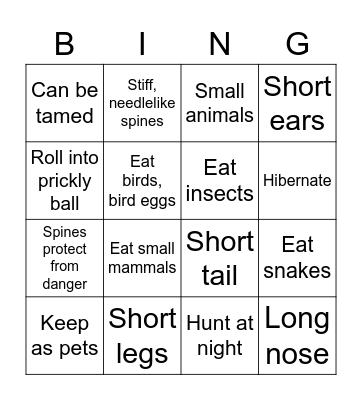 Hedgehog Fact BINGO! Bingo Card
