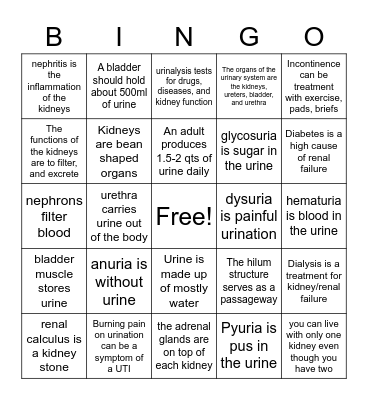 Urinary System Bingo Card