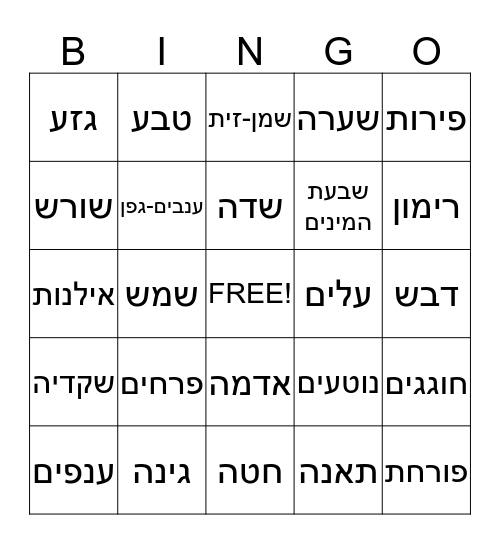 טו בשבט Bingo Card