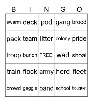 COLLECTIVE NOUNS Bingo Card