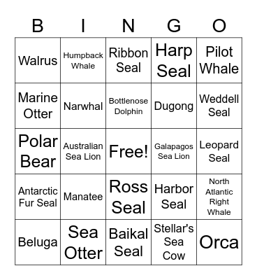 Marine Mammals Bingo Card