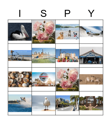 Queensland I Spy Bingo Card