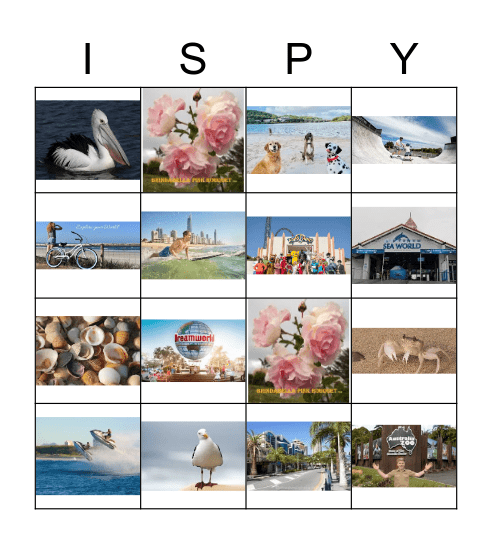 Queensland I Spy Bingo Card