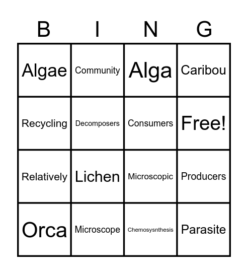 Unit 3 Energy and Matter Bingo Card