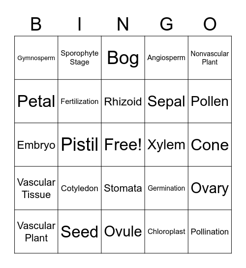 Plant Kingdom Vocab Bingo Card