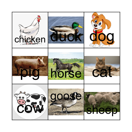 Animal Sounds Bingo Card