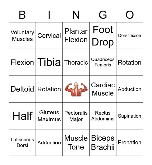 Muscle Bingo Card