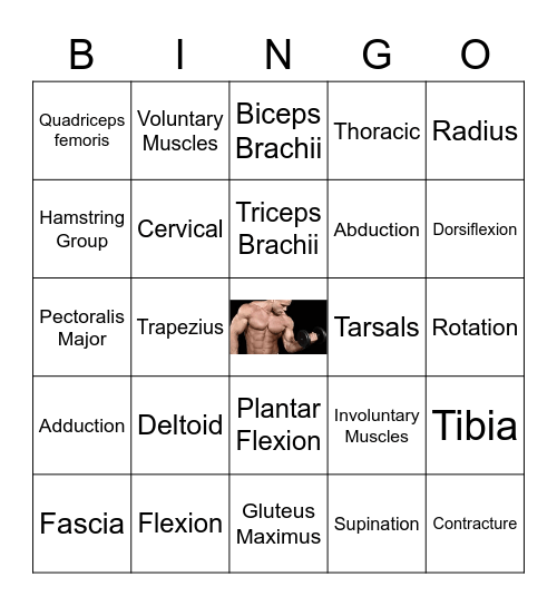 Muscle Bingo Card