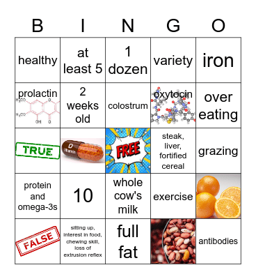 Nutrition Bingo Card