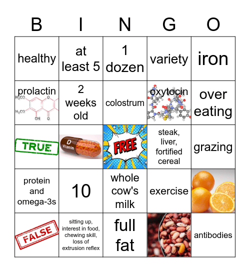 Nutrition Bingo Card