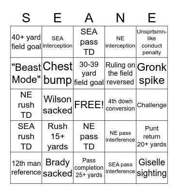 NFL Super Bowl XLIX Bingo Card