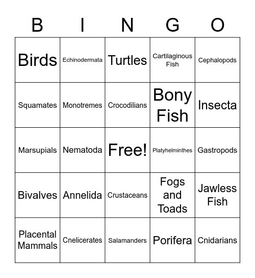 Animal Phylum Bingo Card