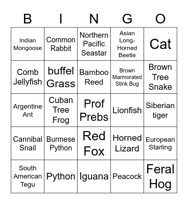INVASIVE SPECIES Bingo Card