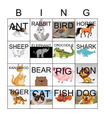 ANIMALS BINGO Card