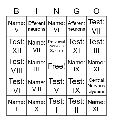 A&P Cranial Nerves Bingo Card