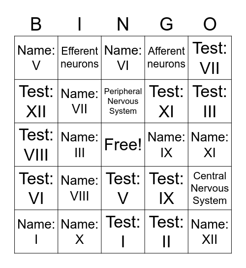 A&P Cranial Nerves Bingo Card