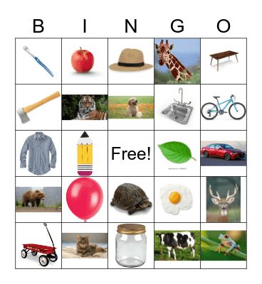 Language for Learning L 1-36 Bingo Card
