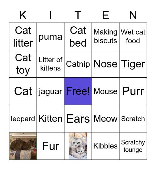 Cats Bingo Card