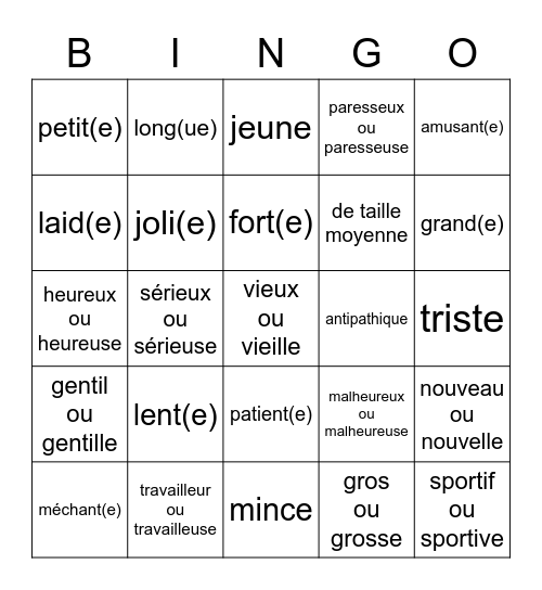 Les adjectifs descriptifs Bingo Card