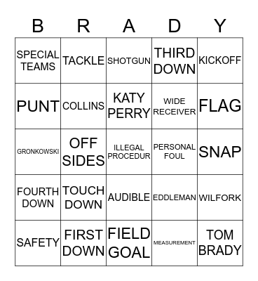 SUPERBOWL XLIX Bingo Card