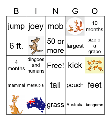 Kangaroos Bingo Card