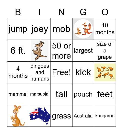 Kangaroos Bingo Card