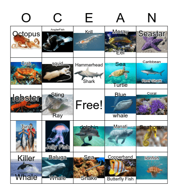 Ocean Bingo Card