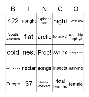 Tyrannidae Bingo Card