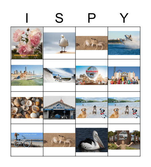 Queensland I Spy Bingo Card