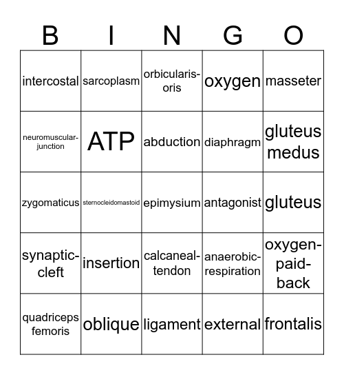 Muscular System Bingo Card