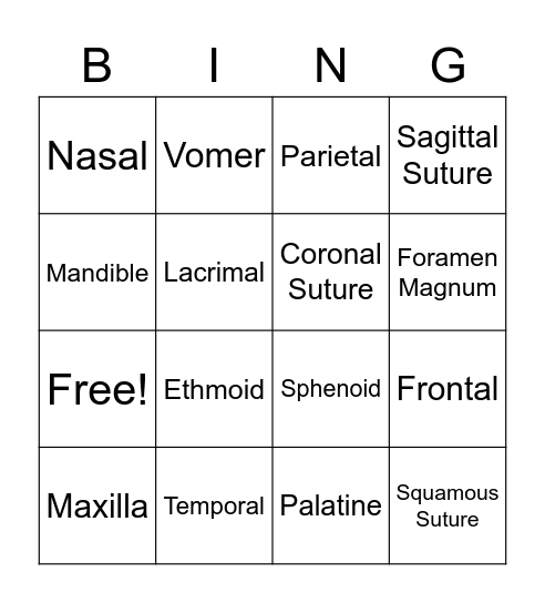 Bones of the Skull Bingo Card