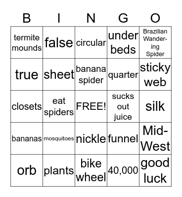Spiders Bingo Card