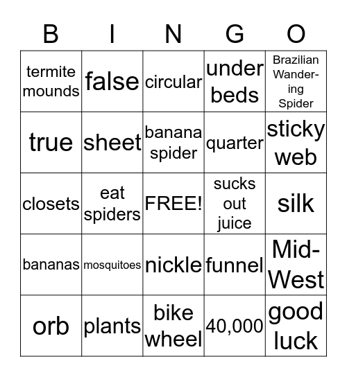 Spiders Bingo Card