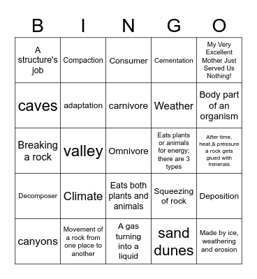 Ortiz Science Bingo 2 Bingo Card