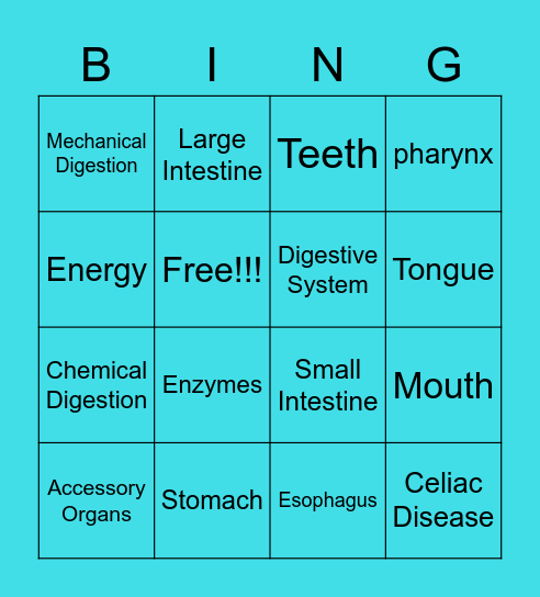 Digestive System Bing! Bingo Card