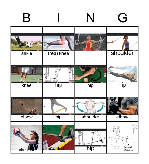Movement at the joints Bingo Card