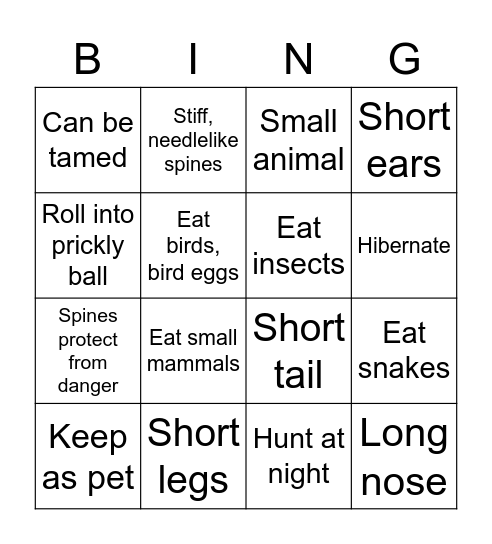 Hedgehog Facts BINGO! Bingo Card