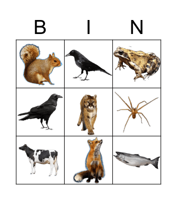Animals Bingo Card