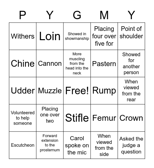 Pygmy Bingo Card