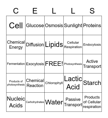 How Cells Function Bingo Card