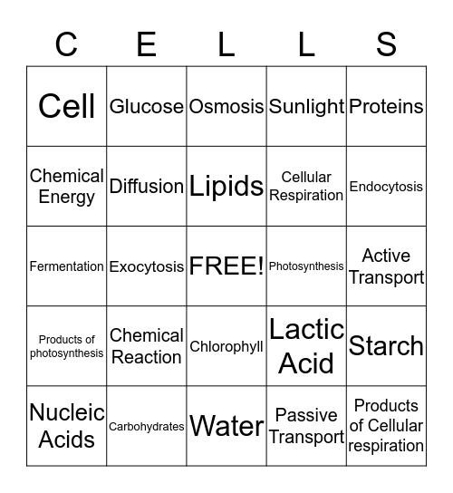 How Cells Function Bingo Card