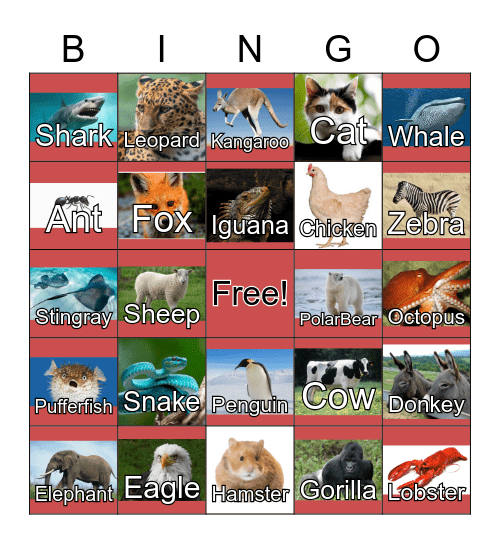 ANIMALS Bingo Card