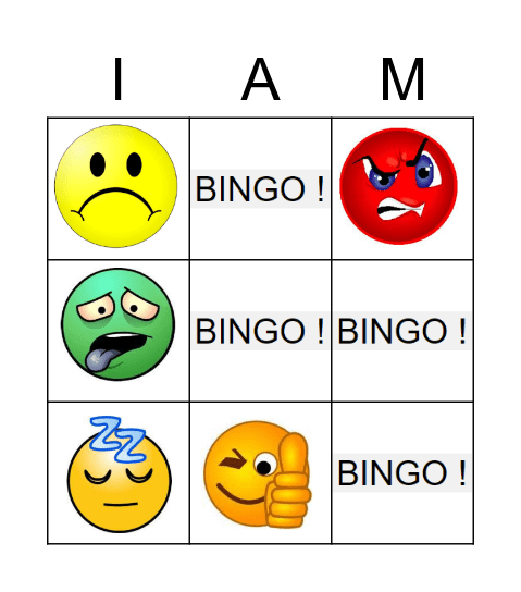 Bingo ! Bingo Card