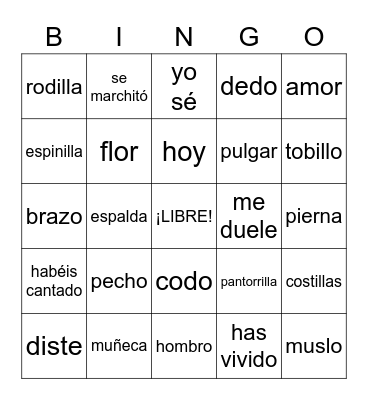SPANISH 2 Bingo Card