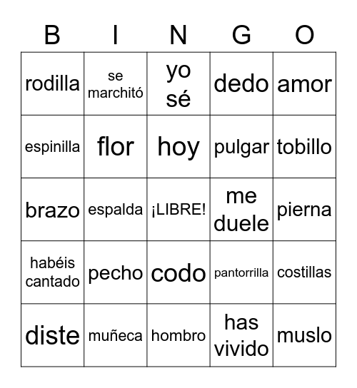 SPANISH 2 Bingo Card