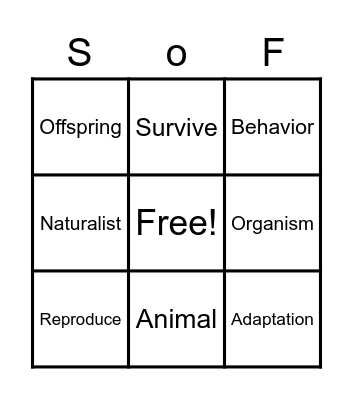 Survival of the Fittest Bingo Card