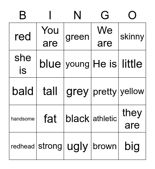 Physical Descriptions Bingo Card