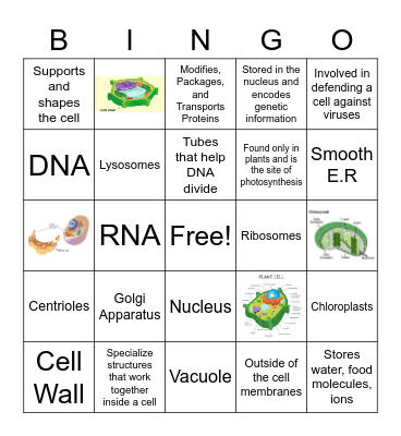 Kevonna Richardson by Organelles Bingo Card