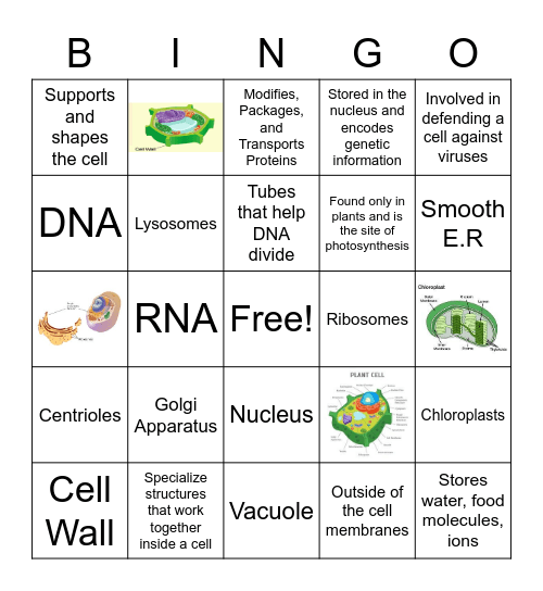 Kevonna Richardson by Organelles Bingo Card